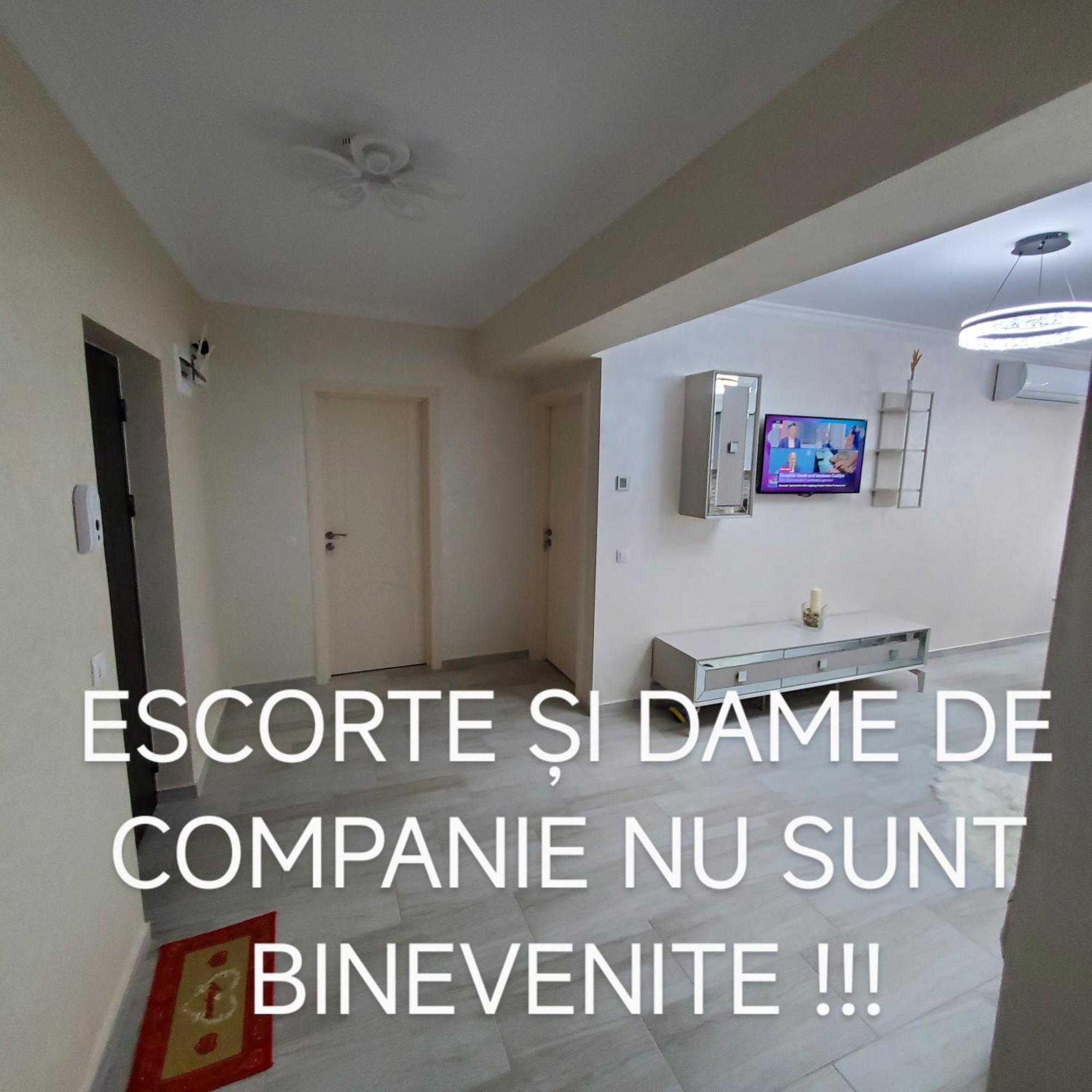 באקאו Luxury Apartament Bacovia מראה חיצוני תמונה